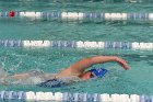 Swimming vs Babson  Wheaton College Swimming vs Babson College. - Photo By: KEITH NORDSTROM : Wheaton, Swimming, Babson